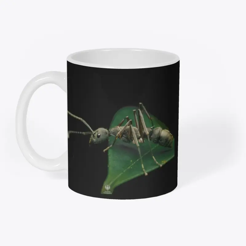 [RAJ] Bornean queenless ant